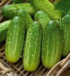 (C) Gherkin Polan H seeds 1g (123377)