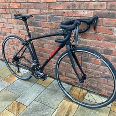 Trek Domane AL2 Road Bike