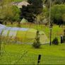 Tent for Sale Image 3