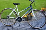 Ladies Raleigh Pioneer Great Condition Any Inspection Welcome