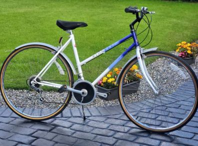 Ladies Raleigh Pioneer Great Condition Any Inspection Welcome