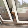 Aluminium French Doors Image 2
