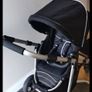 babylo buggy Image 2