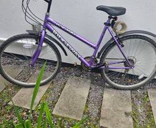 Ladies bike