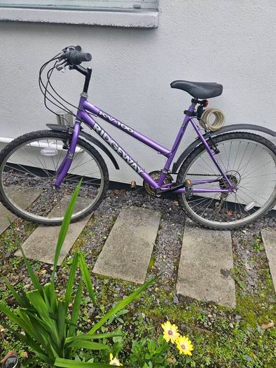 Ladies bike