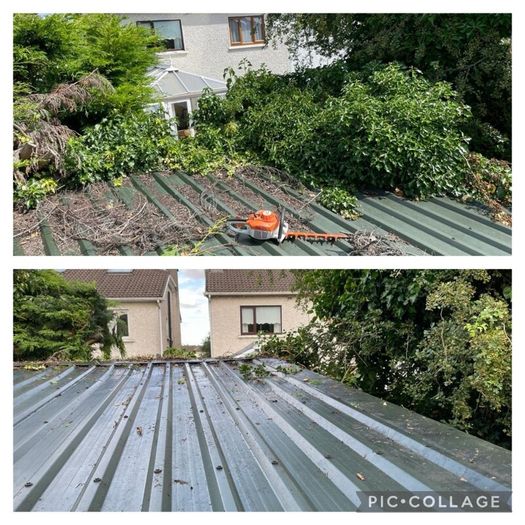 Garden maintenance