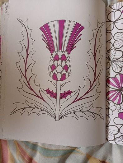 Therapeutic Colouring Books x 2
