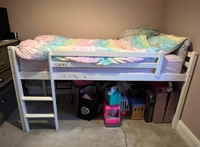 Childrens Loft Bed and Slide