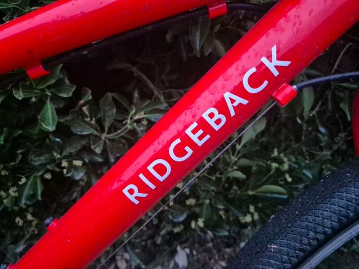 Ridgeback 24in Boy's Bike