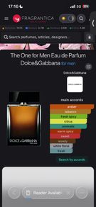 Dolce and Gabbana the One EDP