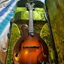 Northfield mandolin NF-F5S Image 7
