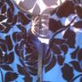 Beautiful East Royal Blue Velvet /Silk Tunic (10) Image 7