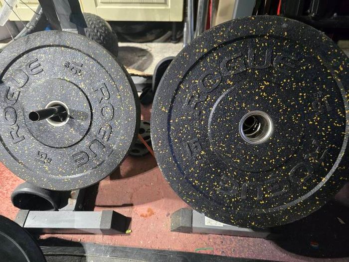 Rogue bumper plates 15kg