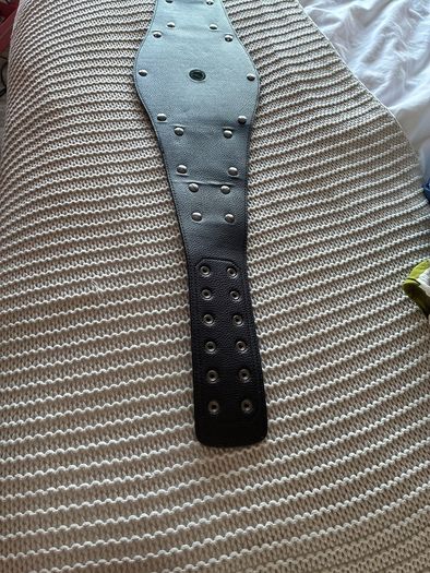 WWE Spinning Belt