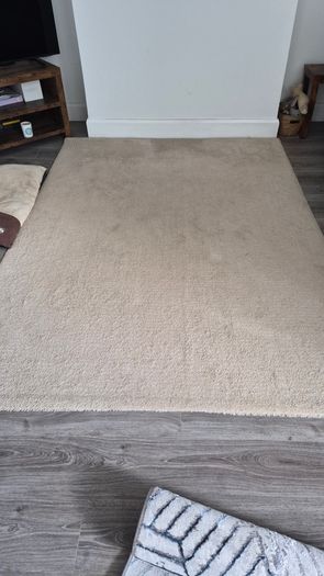 Ikea Rug
