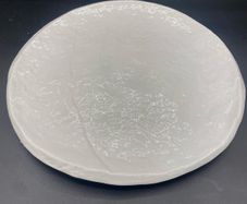 Restaurant plates