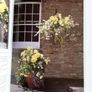 Growing plants in Containers - Gardening Handbook Image 4