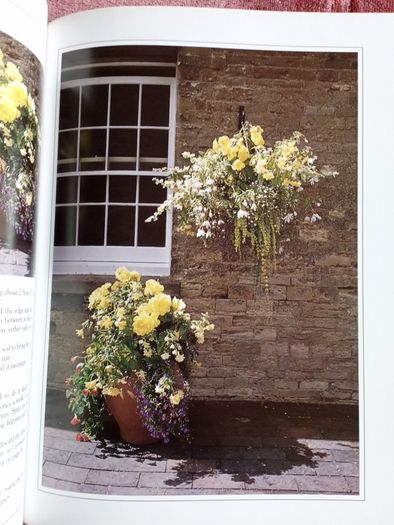 Growing plants in Containers - Gardening Handbook