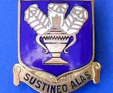 USAAF Technical Training Command (Sustineo Alas) air technician trainer's badge (WW2 period 1940s)
