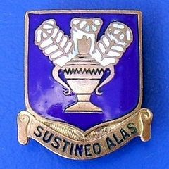 USAAF Technical Training Command (Sustineo Alas) air technician trainer's badge (WW2 period 1940s)