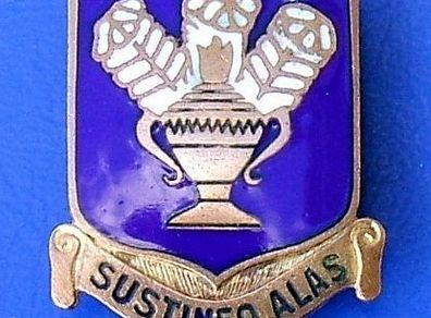 USAAF Technical Training Command (Sustineo Alas) air technician trainer's badge (WW2 period 1940s)