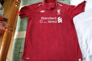 Liverpool Football Club Home Jersey 2018 to 2019 Medium Adult