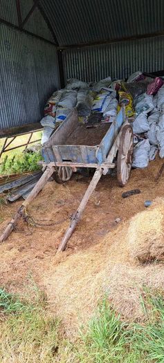 Donkeys Cart