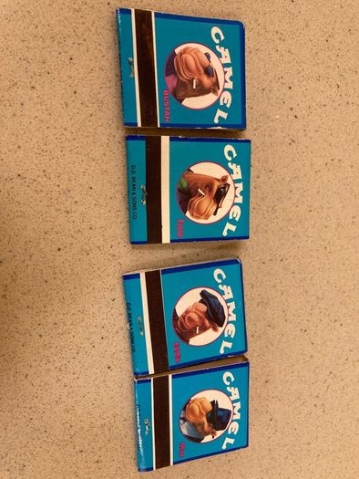 Camel set of matches
