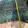 Next Top size 16 Image 5