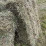 Square bales of hay North Galway Image 3