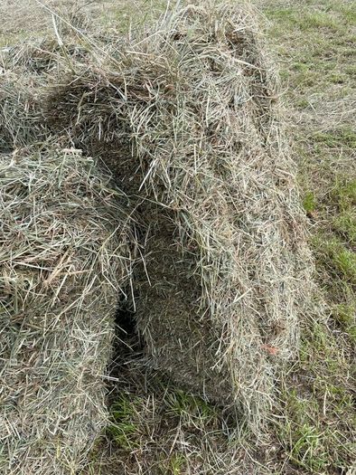 Square bales of hay North Galway