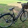 Liv Flourish 1 city bike by Giant - Medium Image 6