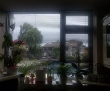 Venitian blinds
