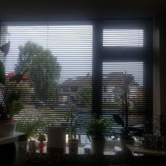 Venitian blinds