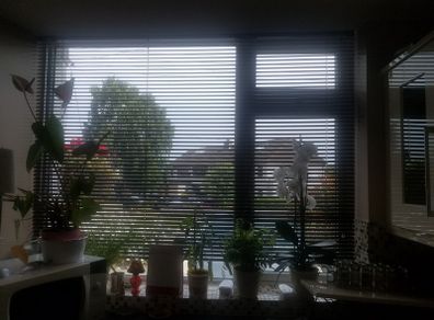 Venitian blinds