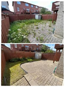 grass cutting