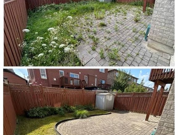 garden maintenance