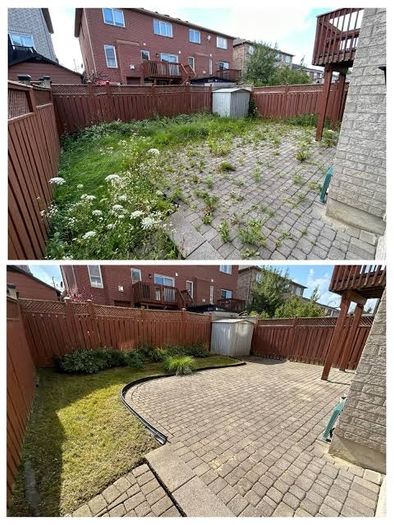 garden maintenance