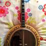 Framus Deluxe Gold Banjo Image 4