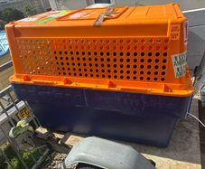 dog crate