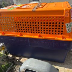 dog crate