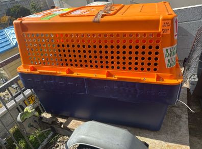 dog crate