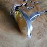 Natural Beautiful Large Amber Ring Sterling Silver adjustable. Image 7