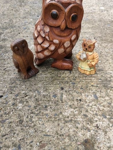Hardwood carved Tawny owls