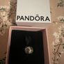 Pandora charm Image 8