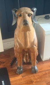 solid timber dog