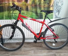 Mountain bike