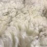 Alpaca fleece Image 2