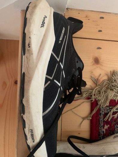 Asics GT 2000