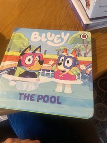 book Bluey the pool